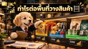 กำไรต่อพื้นที่วางสินค้า